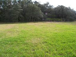 The large backyard has endless possibilities