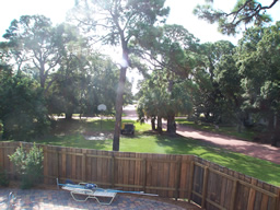 The huge yard extends beyond the fenced area