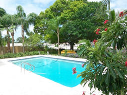 A large pool is surrounded by lush landscaping.