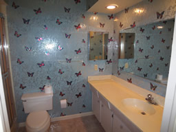 The Master bath has a wide vanity