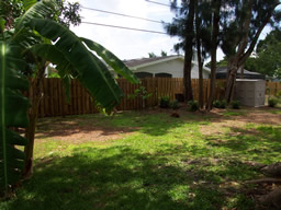 A spacious backyard features a utility shed and 2 kapok trees