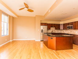 Great room style kitchen/living combination