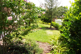 A lovely yard with lush landscaping