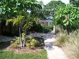 Paver paths wind through the back yard.