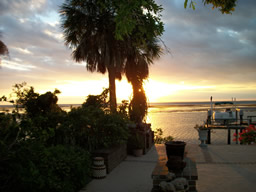 Watch the Sunrise over Tampa Bay